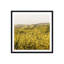 Spring Is Here Yellow Wildflowers by By Brije-493760933-493760932-493760931