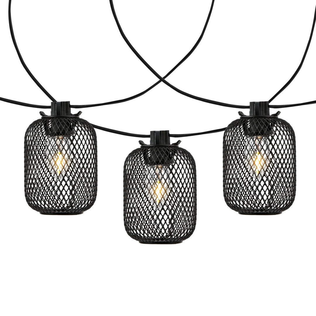 Wally Outdoor 10 - Bulb 120'' Plug-in String Light AllModern