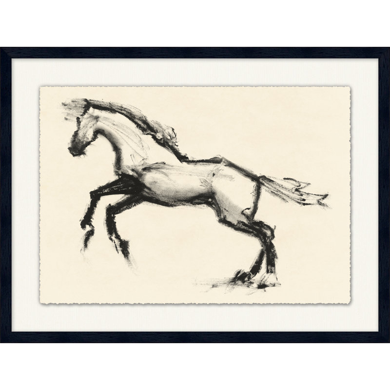 Spirite Equine Study 4