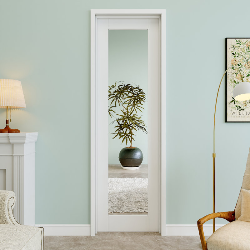Porte de garde-manger standard à âme solide avec miroir et joint d'étanchéité, Oui, 24 po x 80 po