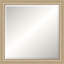 Chamblee Solid Wood Beveled Mirror-813923633-828589004