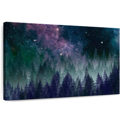 Alvord Galaxy Forest