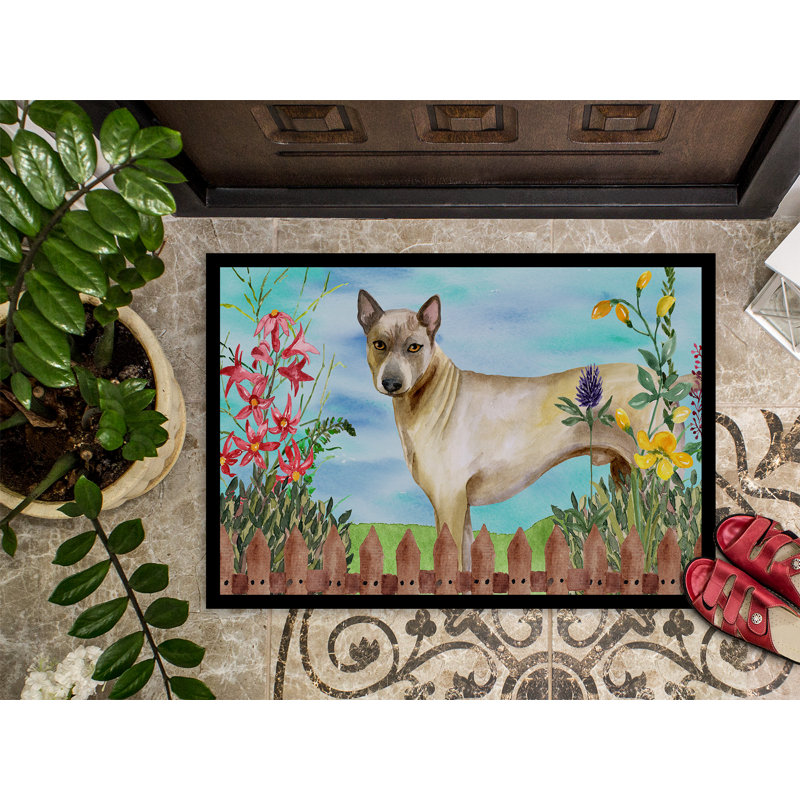 Tapis de porte d’extérieur antidérapant à ressorts antirigides tibétain Yokley, H 0,2 po x l 36 po x P 24 po