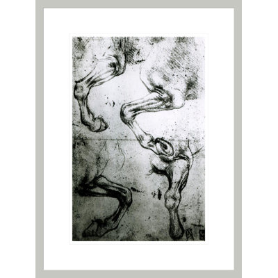 Studies of Horses legs by Leonardo da Vinci -Framed Giclee Print
