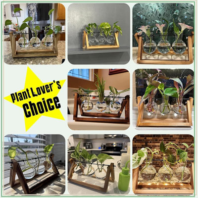 Glass Bulb Plant Terrarium with Wooden Stand – Retro Desktop Hydroponic Planter Holder
