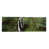 Toile tendue