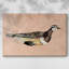Toile tendue Feathered Friend IV-Gallery-1596159369