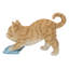Chaton lavant le sol