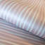 Alecxander Smooth Glitter Stripes 10.05m x 53cm Wallpaper Roll-1732844297