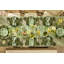 Emerald Check Appetizer Plates