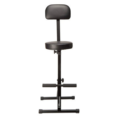Backed Adjustable Height Active Stool