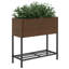 Elevated Planter