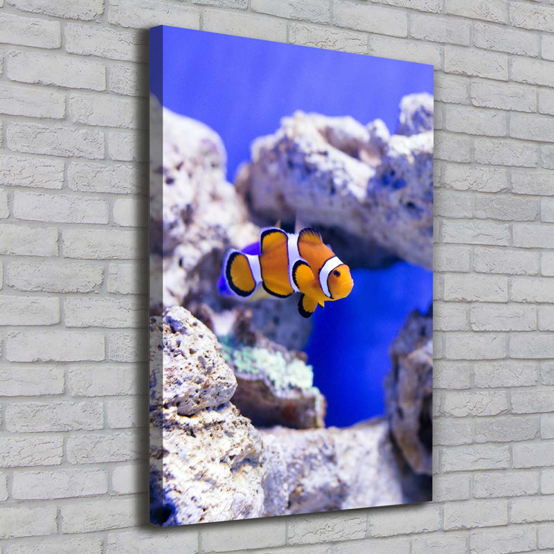 Nemo Fish - Wrapped Canvas Print