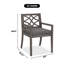 Outdoor Patio Dining Armchair with Cushion-846289045