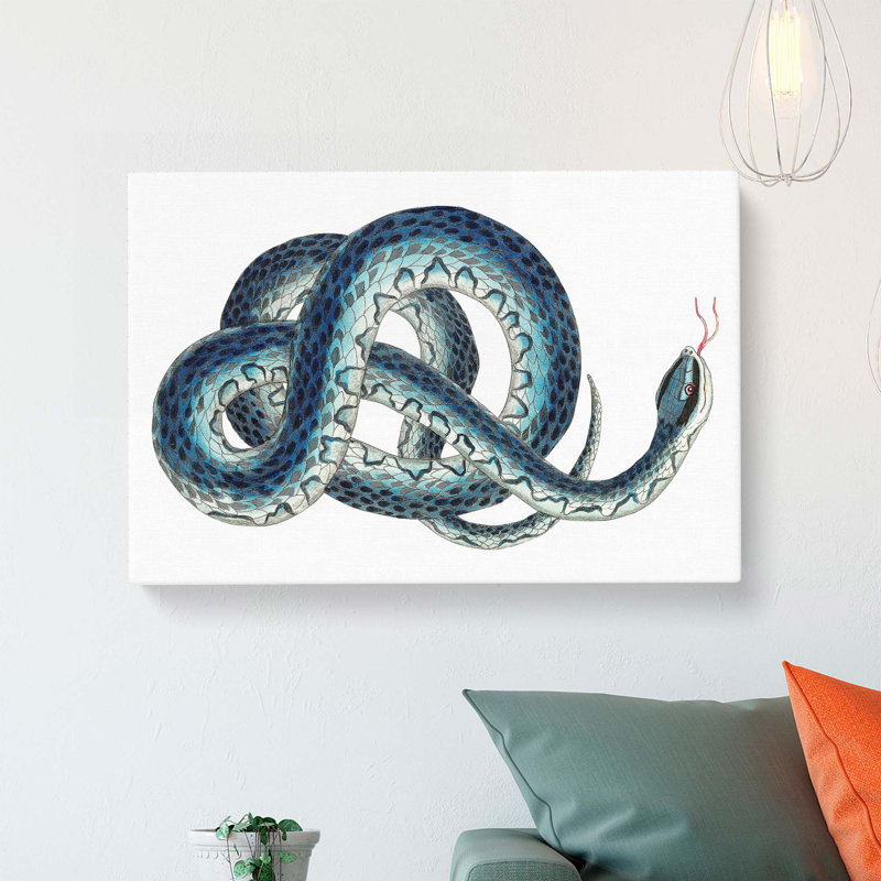 Blue Snake by George Shaw - Wrapped Canvas Painting, 35cm H x 50cm W x 3cm D