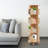 360° Rotating Bookshelf Storage Rack-518424310