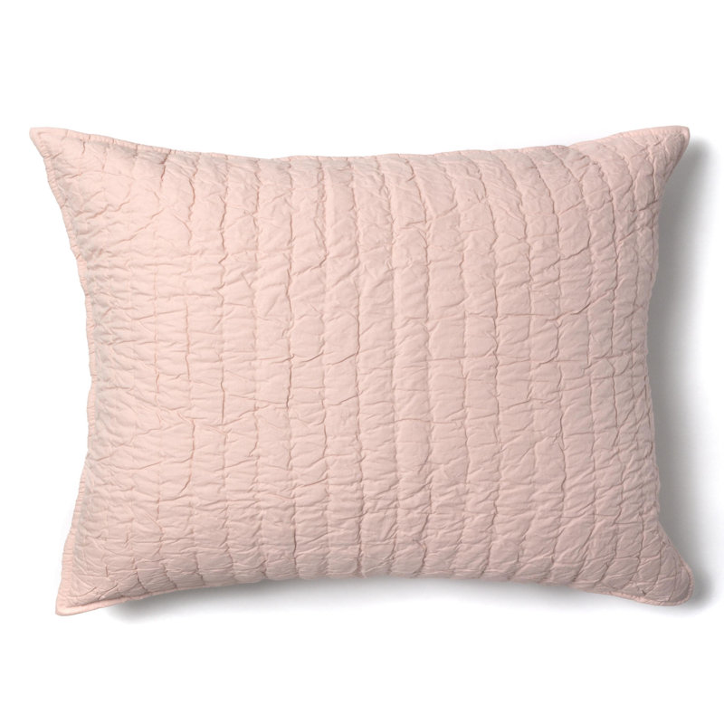 Tamara Sham, Standard