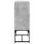 Aanvi Steel Rectangle Accent Cabinet-1763828321