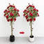 Arrangement-1838050009