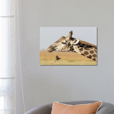 Africa, Botswana, Chobe National Park. Close-Up Of Giraffe Neck With Oxpecker Bird by Jaynes Gallery - Wrapped Canvas Print