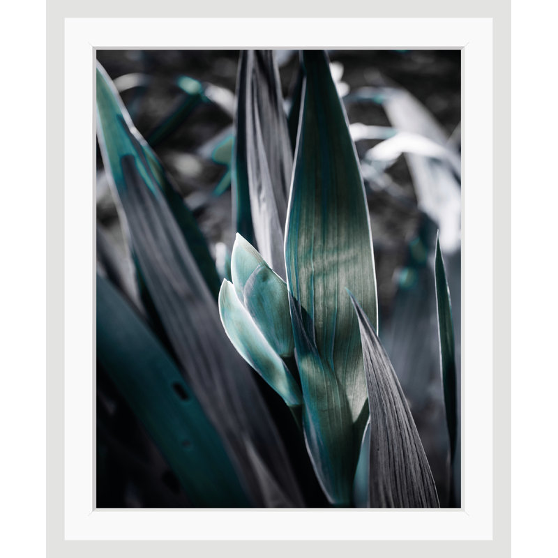 Leaves - Single Picture Frame Print