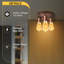 Nantan Spotlight-338736453-338736448
