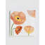 Poppies on Snow Trivet