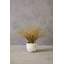 57cm Faux Reed Grass in Ceramic Pot