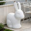 Éclairage de lapin à énergie solaire Ip65 pour la cour