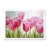 White Picture Frame