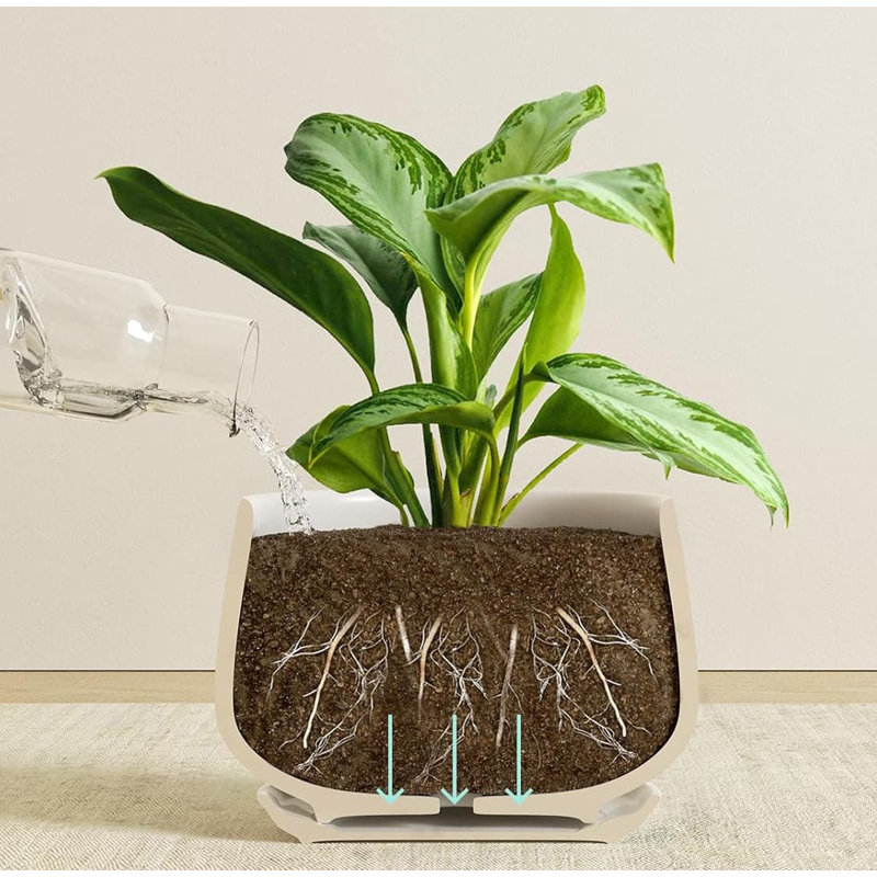 Ceramic Pot Planter