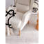 Bina Upholstered Wingback Chair