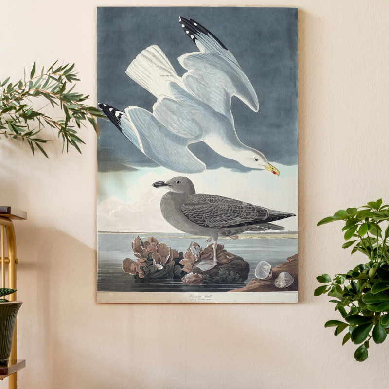 «Pl 291 Herring Gull», reproduction sur toile tendue, H 48 po x l 32 po x P 1 po