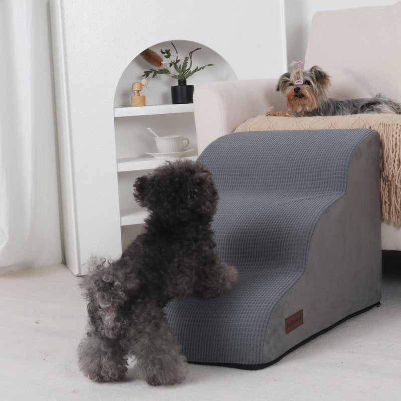 Rampe pour chien à 3 niveaux pour lits ou couchettes, escalier pour petits chiens