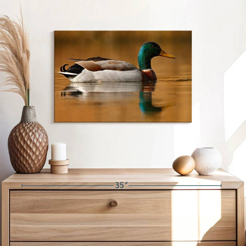 Brampt Bathing Mallard Duck, 16" H x 24" W