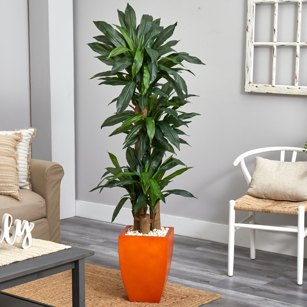 66'' Faux Dracaena Plant in Ceramic Planter Latitude Run®