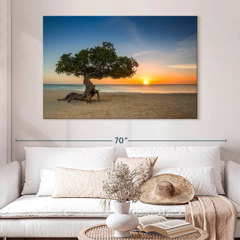 Divi-Divi à Aruba, H 34 po x l 51 po