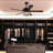 Addalyn 52'' Ceiling Fan with LED Lights
