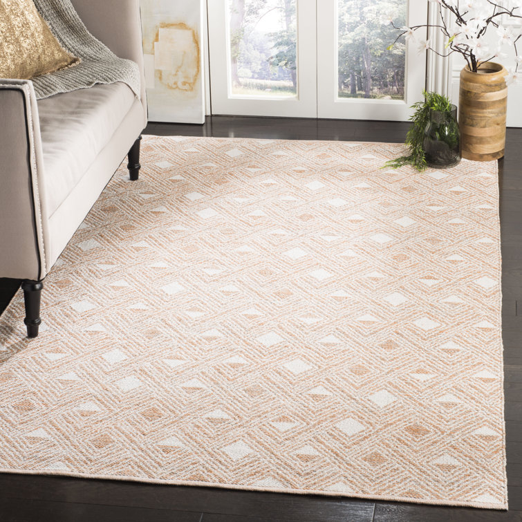 Aila Hand Woven Performance Geometric Rug