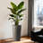 2 Pack Tall 21.7 In Planters For Outdoor Plants Modern Tall Square Planter Box Indoor Outdoor Porch Patio Flower Pot Modern Big Tapered Matte Tree Flower Pot For Garden-627609945
