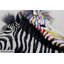 Zebra Love Hand Painted Acrylic Painting