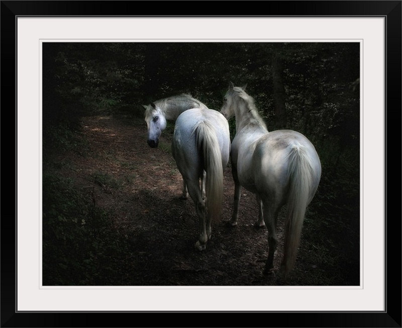 "Straub" par Holger Droste, reproduction de photo, Cadre noir, H 20 po x l 24 po x P 1 po