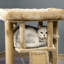 Aubree 57cm H Cat Tree
