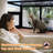 Cat Window Box for Multiple Indoor Cats Wooden Cat Windom Perch Outdoor Catio Enclosure