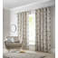 Aaru Springfield Eyelet Curtains (Set of 2)-38033921-38033925