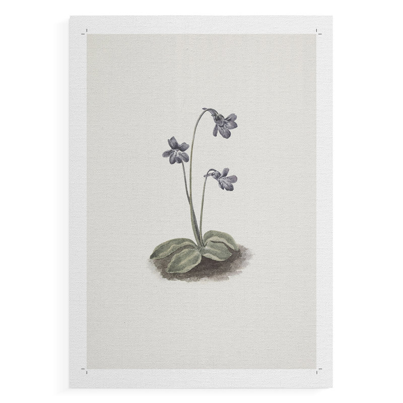 Imprimé floral rétro CLxxix - impression sur toile seulement - non encadrée, H 12 po x l 8 po