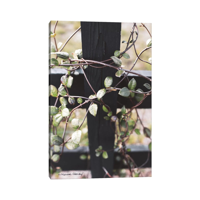 Fence Vine by Melissa Hanley - Wrapped Canvas Print, 101.6 cm H x 66.04 cm W x 1.91 cm D