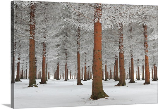 1x Modern & Contemporary East Urban Home 