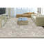Oriental Area Rug