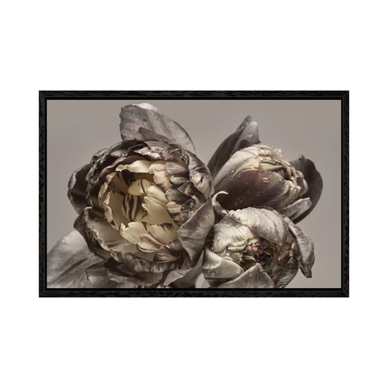 Baroque IV - Print on Canvas, 45.72cm H x 66.04cm W x 3.81cm D, Black Framed